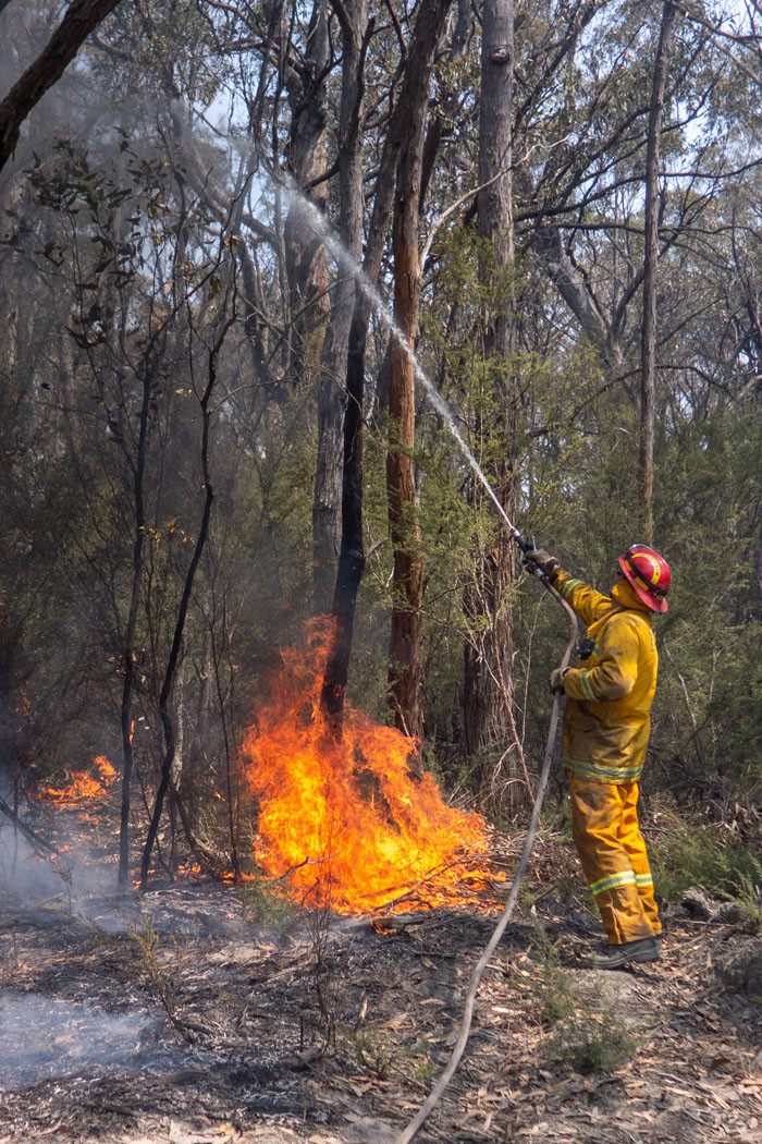 Firefighter extinguishing burning trees