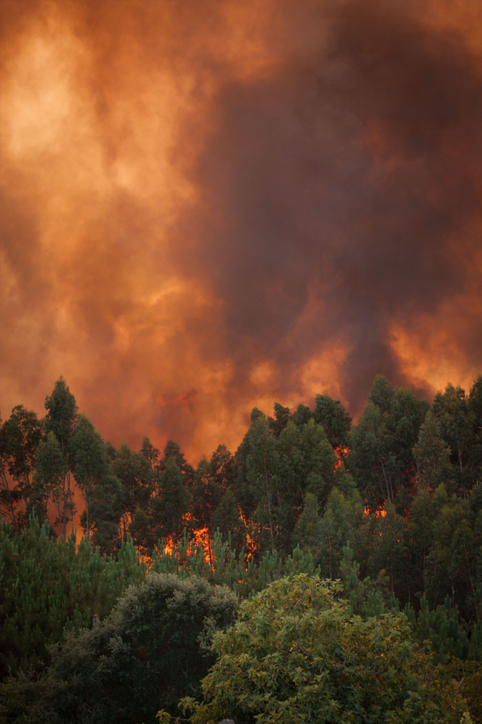 Burning California wildfire